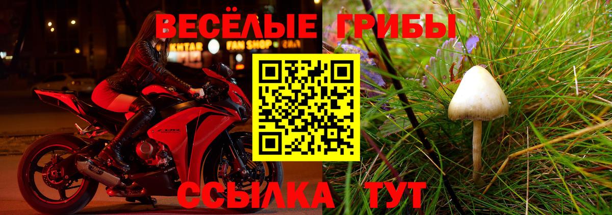 Галлюциногенные грибы мицелий Кузнецк