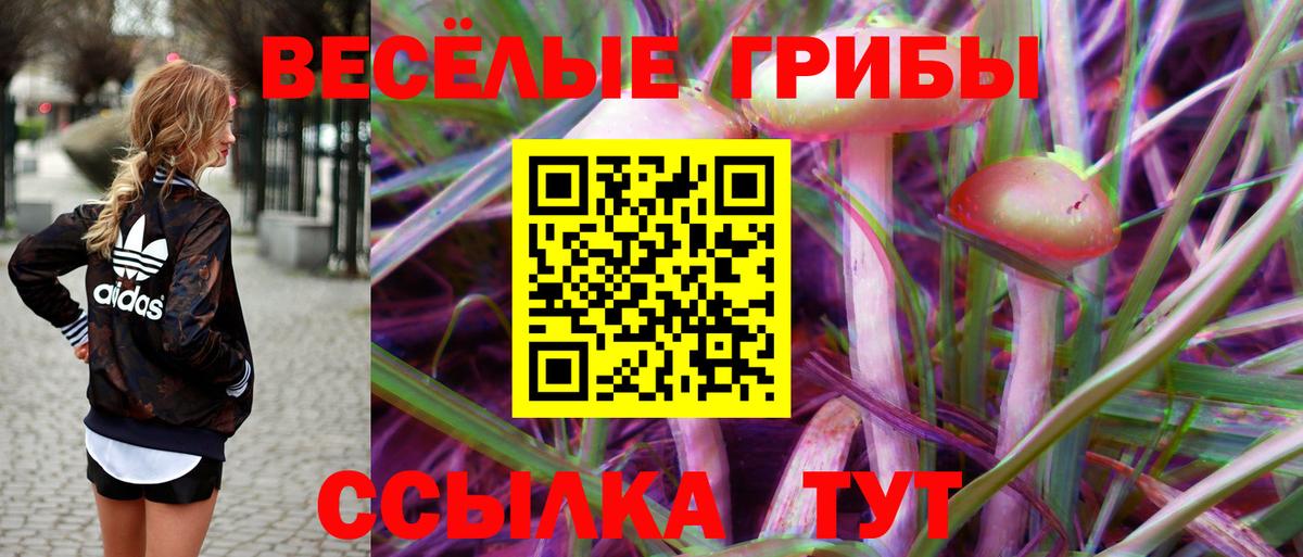 Кузнецк  Галлюциногенные грибы GOLDEN TEACHER  Вход с VPN 